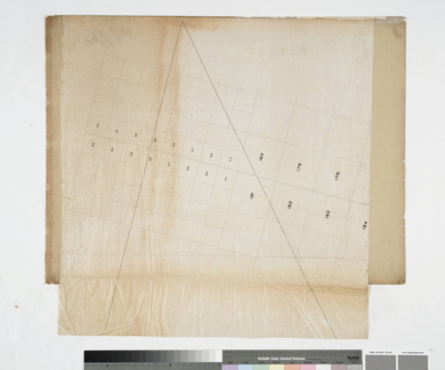 [Unidentified plots]