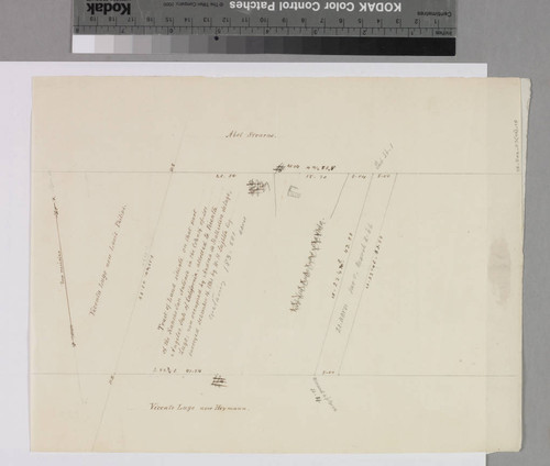 Tract of land.; allotted to Vicenta Lugo