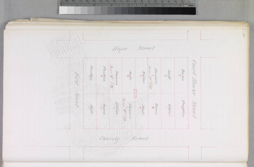 Mott Tract : maps of individual blocks