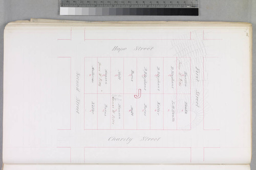 Mott Tract : maps of individual blocks