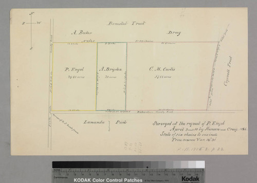 Engel Tract