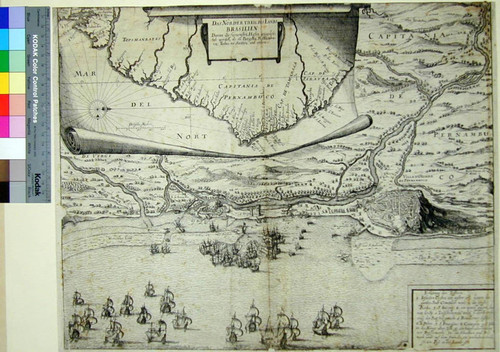 Das norder Theil des Lands Brasilien : darinn die fürnemsten Hafen angedeütet werden, als zu Parayba, Pernambuco, Todos os Santos, und andere