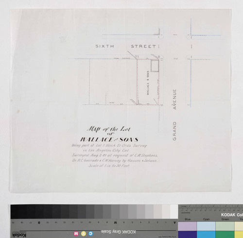 Map of the Lot of Wallace and Sons, being part of Lot 5 Block 21 Ord's Survey