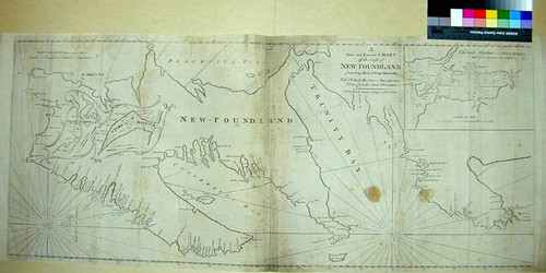 A New and Correct Chart of the Coast of New Foundland, from Cape Raze to Cape Bonavista, with Chebucto Harbour in Nova Scotia done from the latest Observations