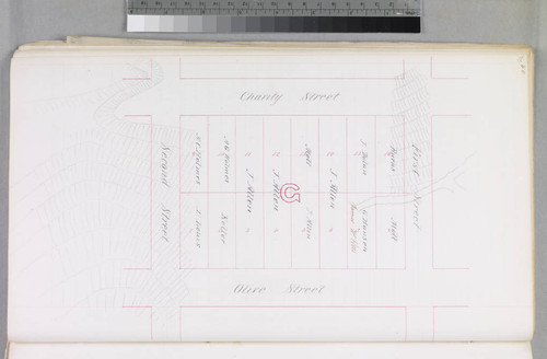 Mott Tract : maps of individual blocks