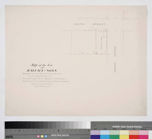 Map of the Lot of Wallace and Sons, being part of Lot 5 Block 21 Ord's Survey