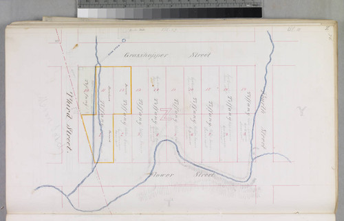 Mott Tract : maps of individual blocks