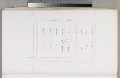 Mott Tract : maps of individual blocks