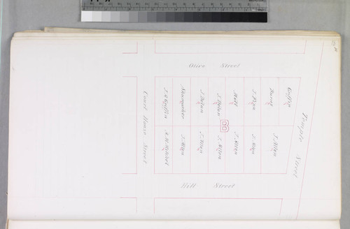 Mott Tract : maps of individual blocks