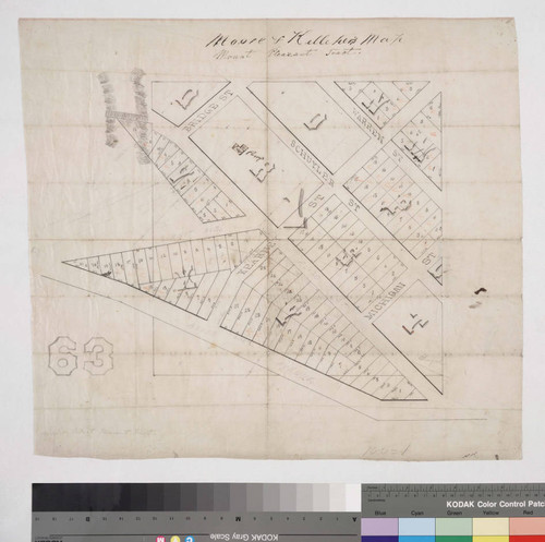 Mount Pleasant Tract