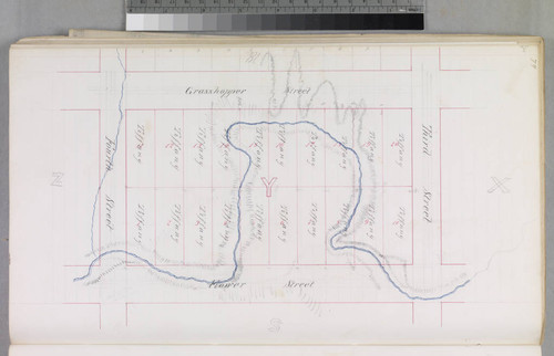 Mott Tract : maps of individual blocks