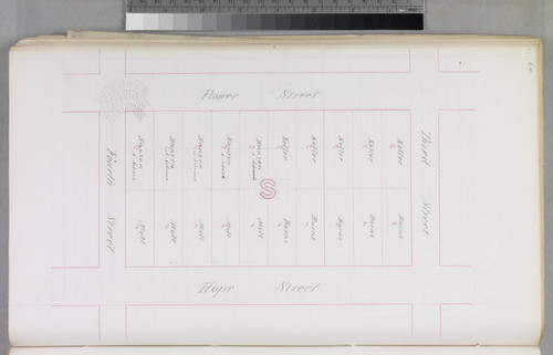 Mott Tract : maps of individual blocks