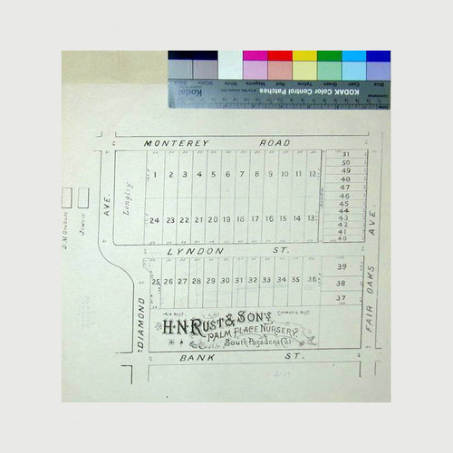 H. N. Rust & Son's Palm Place Nursery. South Pasadena, Cal
