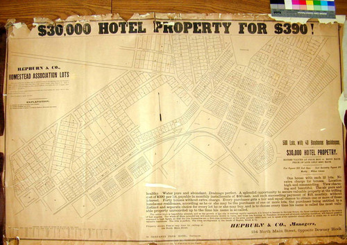 Homestead Association lots