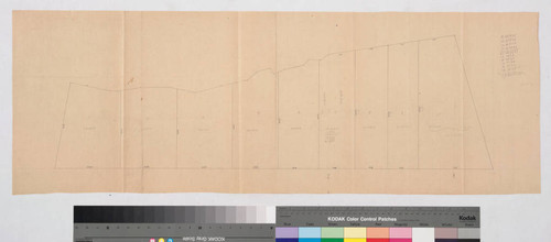 Rancho la Ballona : 1875 partition - partition parcels