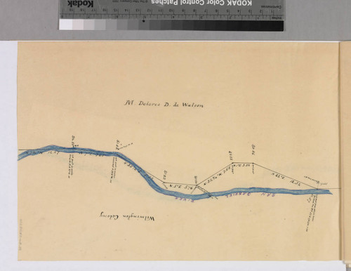 Rancho San Pedro : S73 (partition of 1884-1885, report of referees) - eastern boundary of Maria Dolores D. de Watson parcels