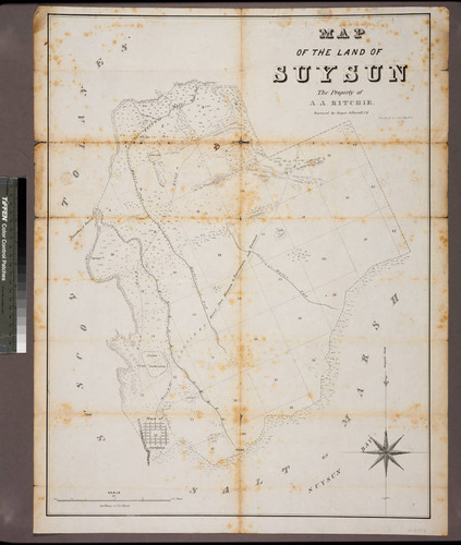Map of the Land of Suysun : The property of A. A. Ritchie / Surveyed by Jasper OFarrell C E