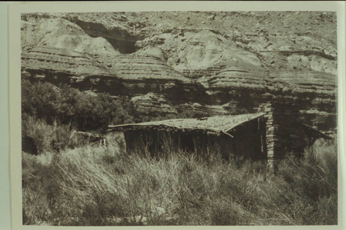 Original Cass Hite cabin at Hite