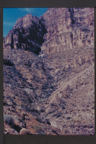 Ravine above spring found by Ervin in 1931 after climb from inner gorge