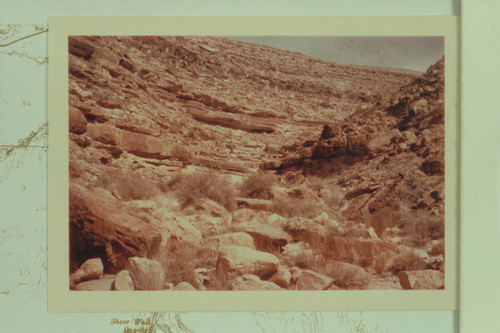 Bed of ravine between Tanner and Hot Na Na — Calisphere