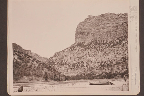 Camp at Sage Creek in Whirlpool Canyon; Mile 217.3. Not knowing the River, Nevills passed Jones Hole Creek with its wonderful fishing and camped 10 minutes later at Sage Creek where there was no stream