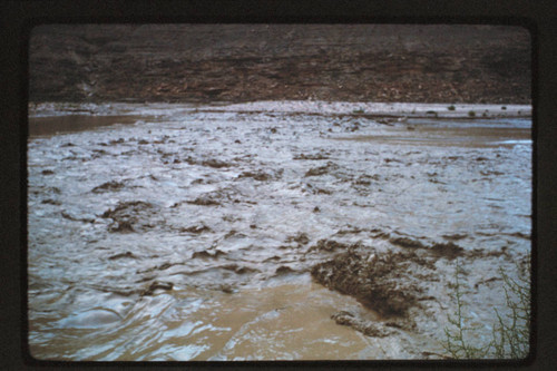 Flood in Little Colorado