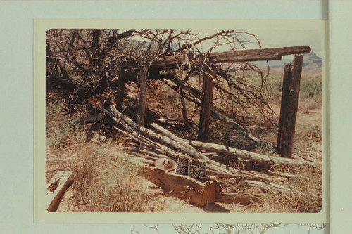 Remains of cabin at Mile 69.7 left bank, in Grand Canyon