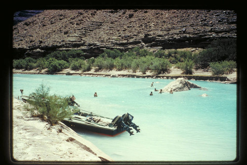 Swimming in Little Colorado River