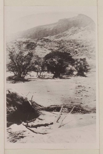 Mouth of Trachyte Creek, "Views on the Colorado River", Glen Canon Series