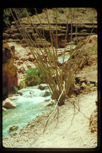 Supai 1972