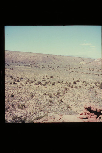 The stock train arrives in Trail Canyon, Fifty Mile Mountain at upper right
