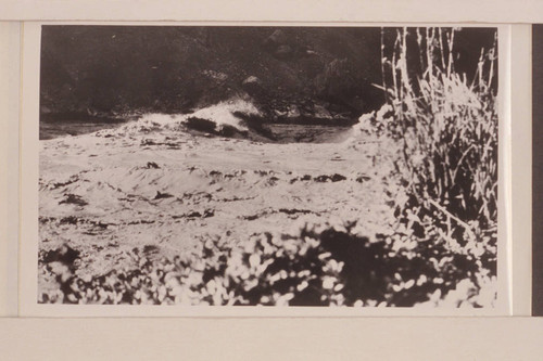 Waves in Lava Falls during the flood of 1923, Sep. 19. Print from Lint album