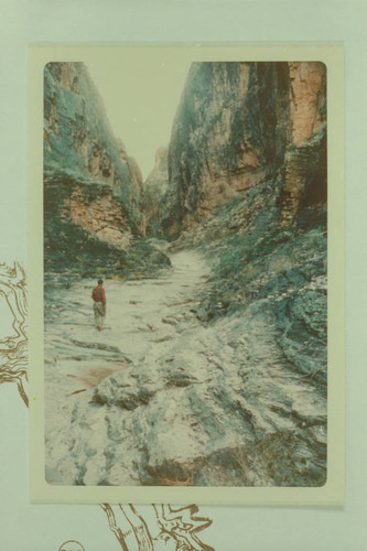 Harvey Butchart walking up in Indian Canyon
