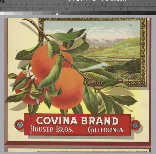 Covina brand