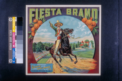 Fiesta brand