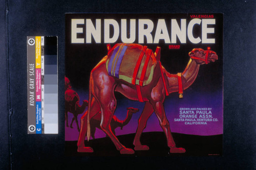 Endurance brand