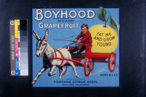 Boyhood brand