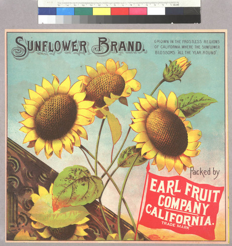 Sunflower brand