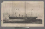 Pacific Mail Steam Ship Company's Steamer Constitution