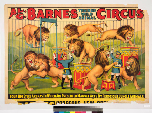 Al. G. Barnes trained wild animal circus : four big steel arenas in which are presented marvel acts by ferocious jungle animals