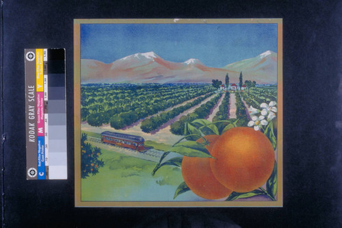 [Stock label: two oranges with groves, mountains and trolley]