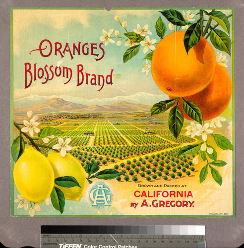 Oranges blossom brand