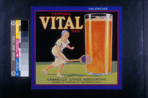 Ventura vital brand