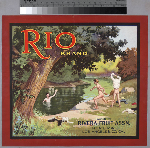 Rio brand