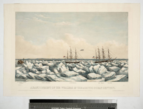 Abandonment of the whalers in the Arctic Ocean Sept. 1871. Pl. 1