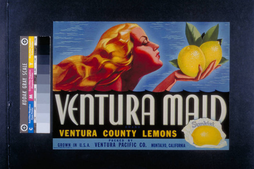 Ventura maid