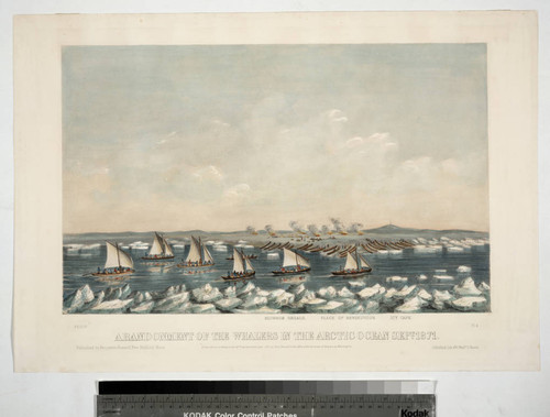 Abandonment of the whalers in the Arctic Ocean Sept. 1871. Pl. 4