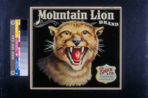 Mountain Lion brand