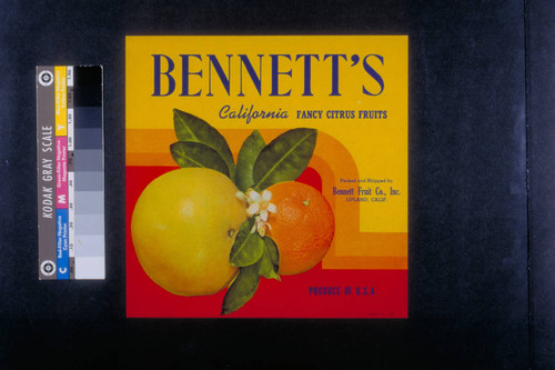 Bennett's