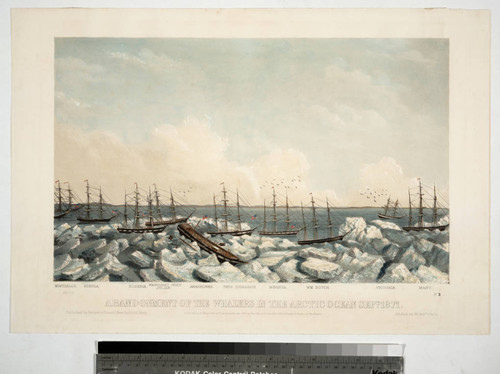 Abandonment of the whalers in the Arctic Ocean Sept. 1871. Pl. 3